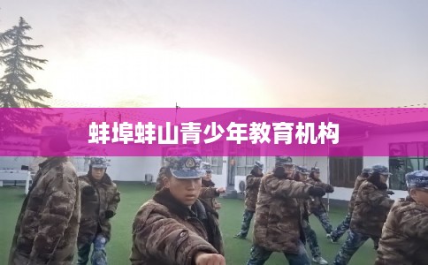 蚌埠蚌山青少年教育机构