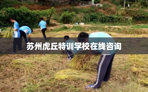 苏州虎丘特训学校在线咨询