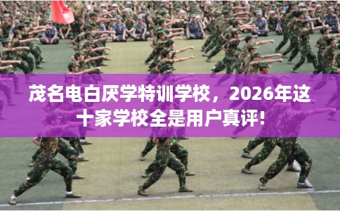 茂名电白厌学特训学校，2026年这十家学校全是用户真评!