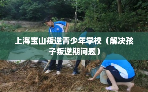 上海宝山叛逆青少年学校（解决孩子叛逆期问题）