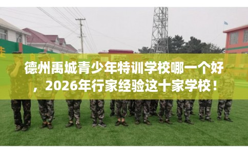 德州禹城青少年特训学校哪一个好，2026年行家经验这十家学校！