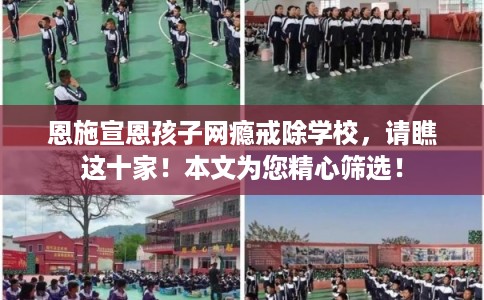 恩施宣恩孩子网瘾戒除学校,请瞧这十家!本文为您精心筛选! 恩施宣恩孩子网瘾戒除学校,请瞧这十家!本文为您精心筛选!