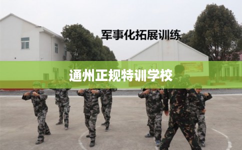 通州正规特训学校