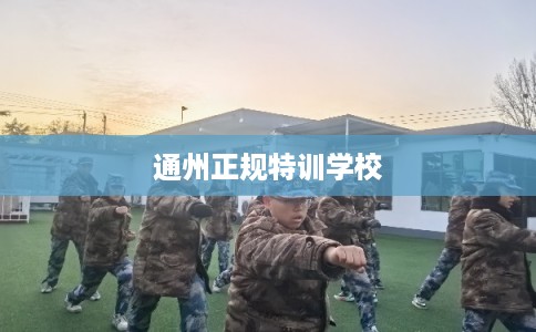 通州正规特训学校