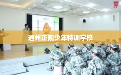 通州正规少年特训学校 通州正规少年特训学校