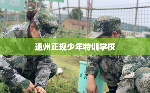 通州正规少年特训学校 通州正规少年特训学校