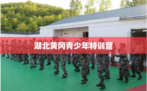 湖北黄冈青少年特训营