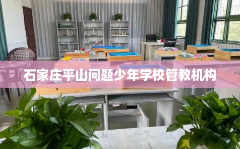 石家庄平山问题少年学校管教机构