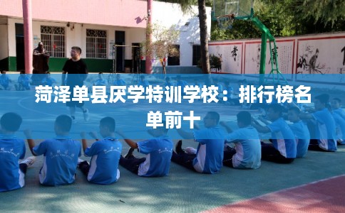 菏泽单县厌学特训学校：排行榜名单前十
