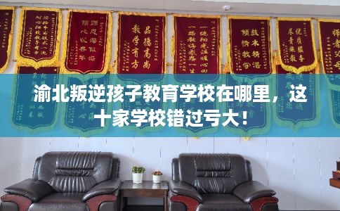渝北叛逆孩子教育学校在哪里，这十家学校错过亏大！