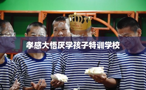 孝感大悟厌学孩子特训学校 孝感大悟厌学孩子特训学校