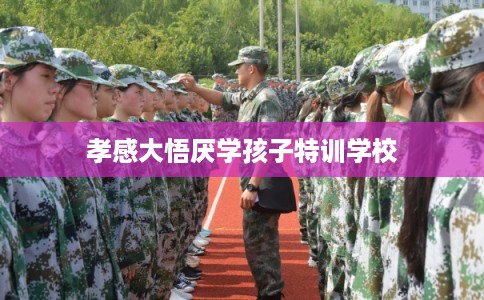 孝感大悟厌学孩子特训学校