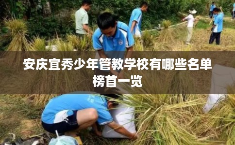 安庆宜秀少年管教学校有哪些名单榜首一览