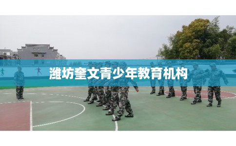 潍坊奎文青少年教育机构