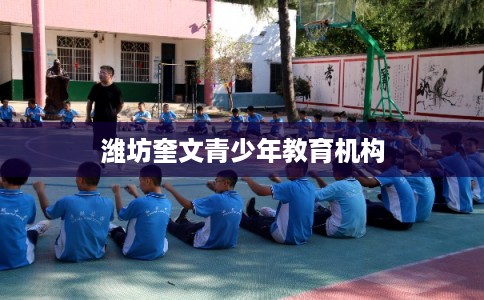 潍坊奎文青少年教育机构