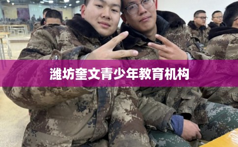 潍坊奎文青少年教育机构