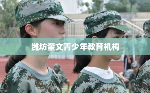 潍坊奎文青少年教育机构