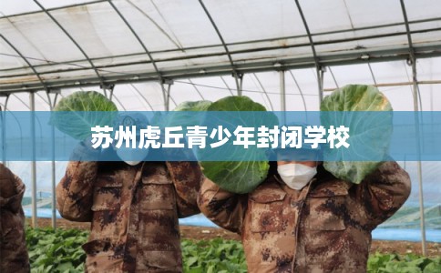 苏州虎丘青少年封闭学校 苏州虎丘青少年封闭学校