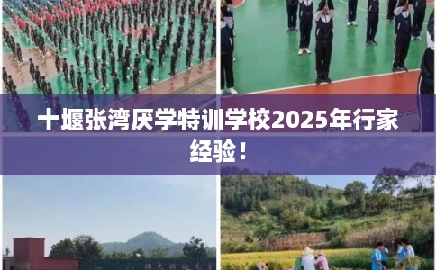 十堰张湾厌学特训学校2025年行家经验！