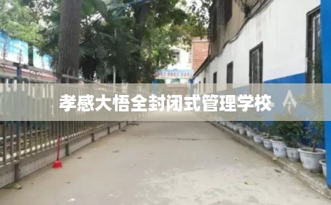 孝感大悟全封闭式管理学校