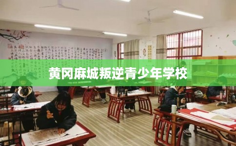 黄冈麻城叛逆青少年学校 黄冈麻城叛逆青少年学校