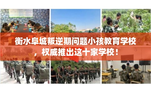 衡水阜城叛逆期问题小孩教育学校，权威推出这十家学校！