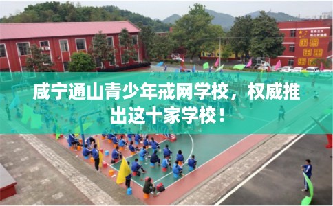 咸宁通山青少年戒网学校，权威推出这十家学校！