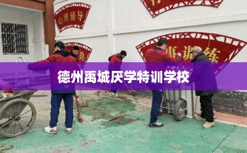 德州禹城厌学特训学校 德州禹城厌学特训学校