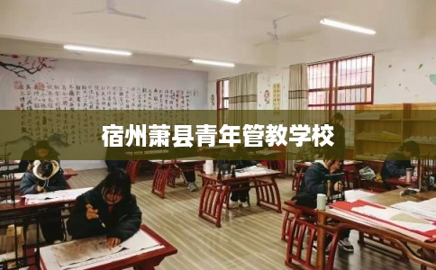 宿州萧县青年管教学校