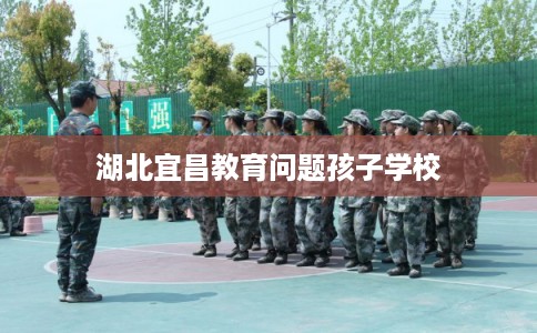 湖北宜昌教育问题孩子学校
