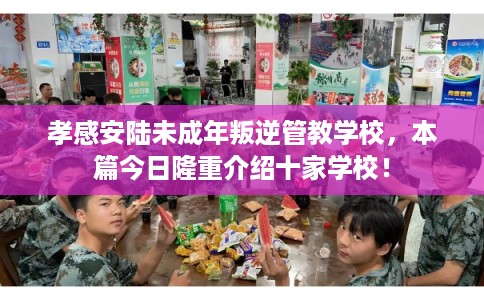 孝感安陆未成年叛逆管教学校，本篇今日隆重介绍十家学校！