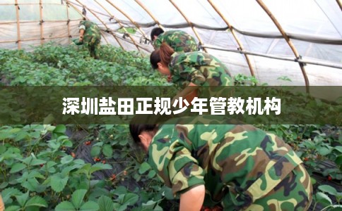 深圳盐田正规少年管教机构