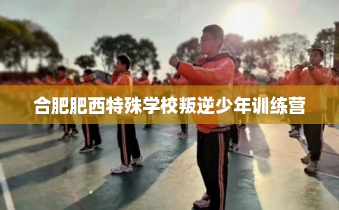 合肥肥西特殊学校叛逆少年训练营 合肥肥西特殊学校叛逆少年训练营