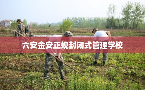 六安金安正规封闭式管理学校