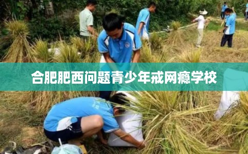 合肥肥西问题青少年戒网瘾学校 合肥肥西问题青少年戒网瘾学校