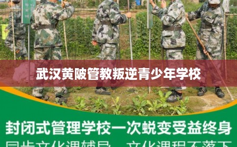 武汉黄陂管教叛逆青少年学校