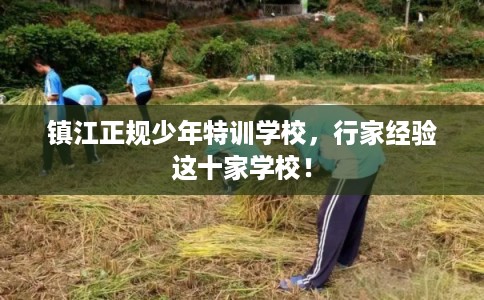 镇江正规少年特训学校,行家经验这十家学校! 镇江正规少年特训学校,行家经验这十家学校!