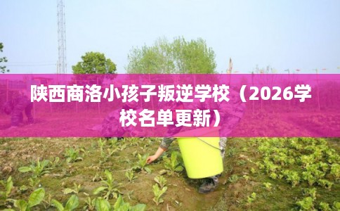 陕西商洛小孩子叛逆学校(2026学校名单更新) 陕西商洛小孩子叛逆学校(2026学校名单更新)