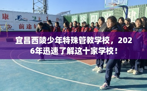 宜昌西陵少年特殊管教学校,2026年迅速了解这十家学校! 宜昌西陵少年特殊管教学校,2026年迅速了解这十家学校!