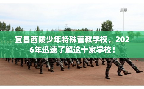 宜昌西陵少年特殊管教学校,2026年迅速了解这十家学校! 宜昌西陵少年特殊管教学校,2026年迅速了解这十家学校!