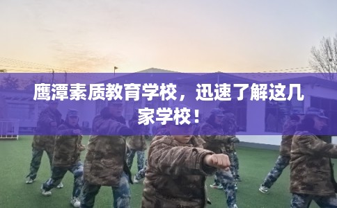 鹰潭素质教育学校，迅速了解这几家学校！