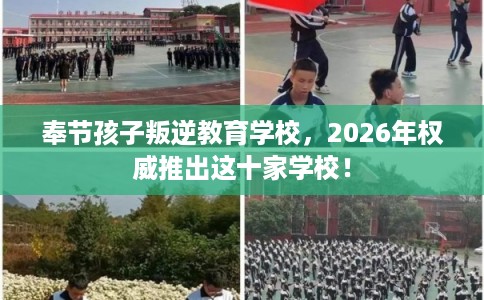 奉节孩子叛逆教育学校，2026年权威推出这十家学校！