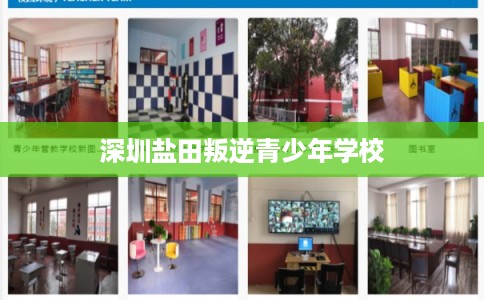 深圳盐田叛逆青少年学校 深圳盐田叛逆青少年学校