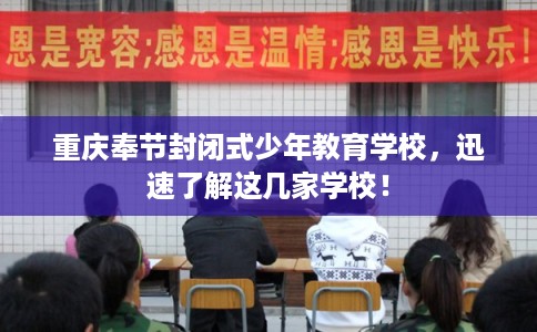 重庆奉节封闭式少年教育学校，迅速了解这几家学校！