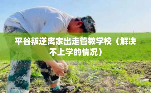 平谷叛逆离家出走管教学校(解决不上学的情况) 平谷叛逆离家出走管教学校(解决不上学的情况)