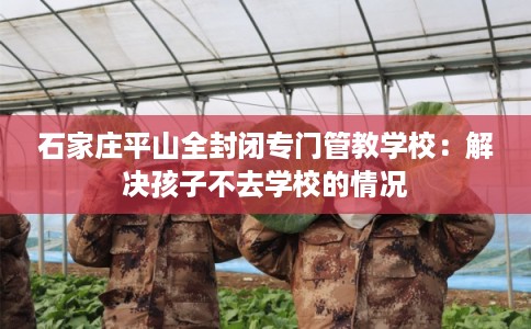 石家庄平山全封闭专门管教学校：解决孩子不去学校的情况