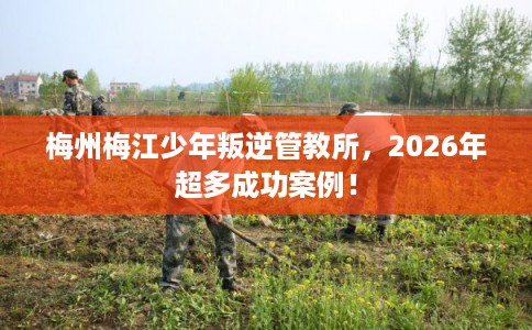 梅州梅江少年叛逆管教所，2026年超多成功案例！