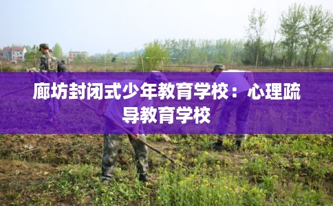 廊坊封闭式少年教育学校：心理疏导教育学校