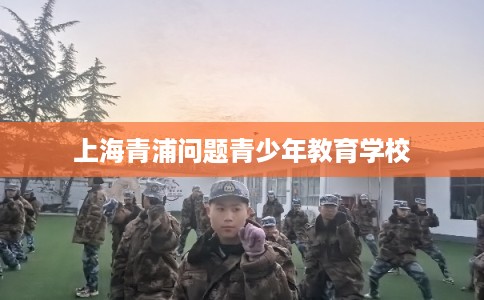 上海青浦问题青少年教育学校 上海青浦问题青少年教育学校