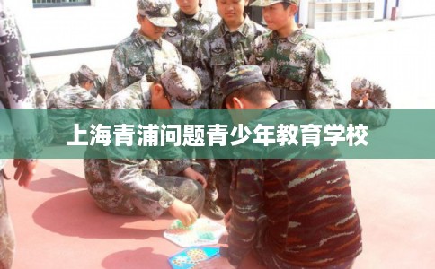 上海青浦问题青少年教育学校 上海青浦问题青少年教育学校